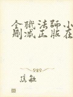 全职法师小说无删减正版在线阅读
