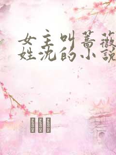 女主叫蔷薇男主姓沈的小说