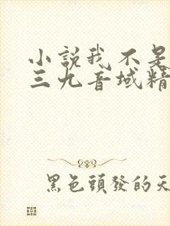 小说我不是戏神三九音域精校版