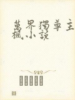 万界独尊主角林枫小说