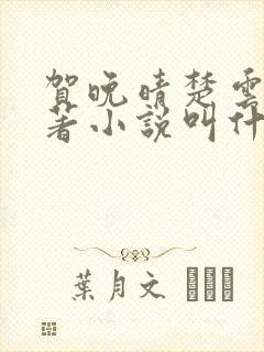 贺晚晴楚云深原著小说叫什么名字