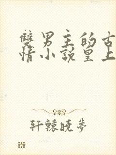 双男主的古代言情小说皇上和摄政王 双男主的古代言情小说皇上和摄政王