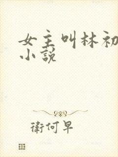 女主叫林初夏的小说