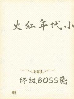 火红年代小说