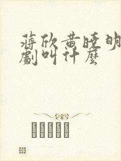 蒋欣黄晓明谍战剧叫什么