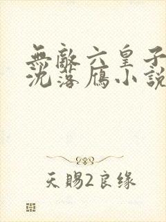 无敌六皇子云铮沈落雁小说