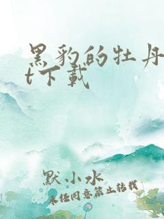黑豹的牡丹txt下载