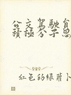 公交驾驶员入党积极分子思想汇报