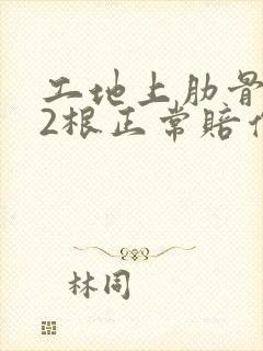 工地上肋骨骨折2根正常赔偿多少?