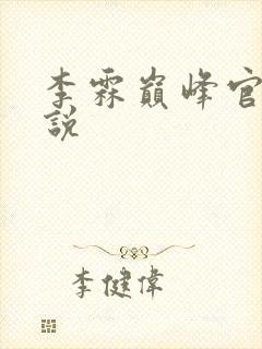 李霖巅峰官场小说