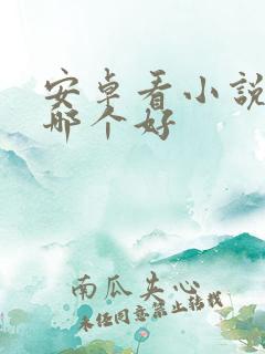 安卓看小说软件哪个好 安卓看小说软件哪个好
