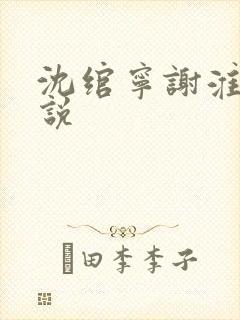 沈绾宁谢淮今小说