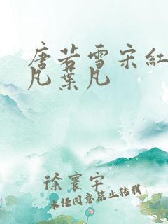 唐若雪宋红颜叶凡叶凡