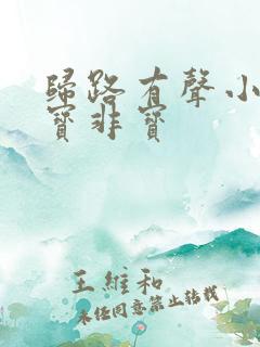 归路有声小说墨宝非宝
