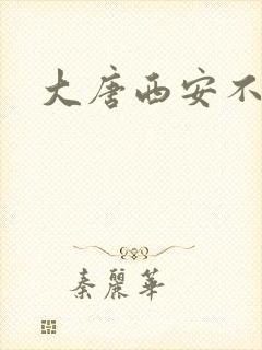 大唐西安不夜城
