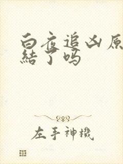 白夜追凶原著完结了吗