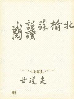 小说苏榆北免费阅读