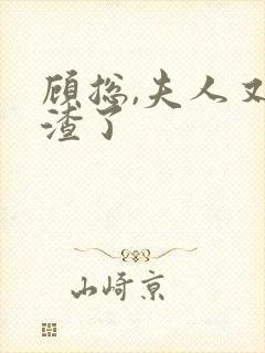 顾总,夫人又虐渣了