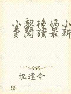 小黎后妈小说免费阅读最新章节更新