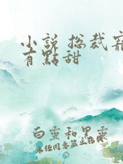 小说 总裁宠妻有点甜
