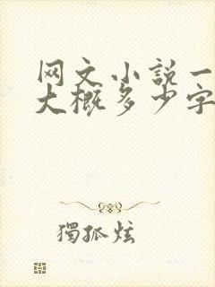 网文小说一章节大概多少字