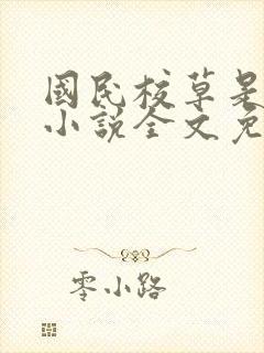 国民校草是女生小说全文免费阅读