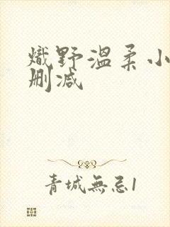 炽野温柔小说无删减