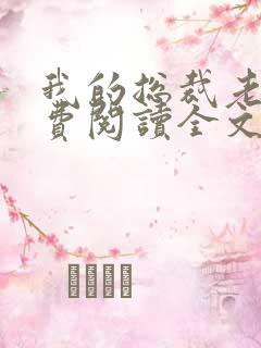 我的总裁老婆免费阅读全文