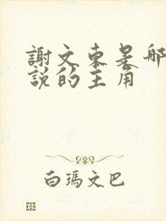 谢文东是哪部小说的主角