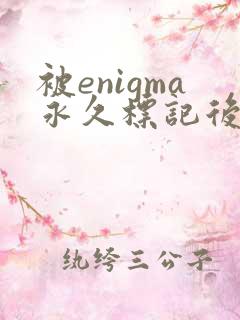 被enigma永久标记后笔趣阁