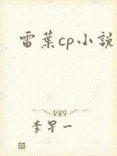 雷叶cp小说