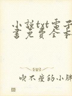小说txt电子书免费全本完结