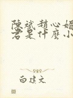 陈斌赵心媚高婉君是什么小说