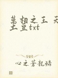 万相之王 天蚕土豆txt