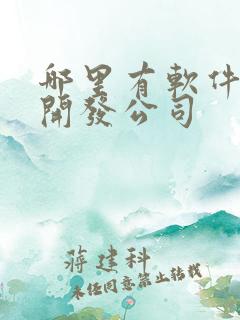 哪里有软件定制开发公司
