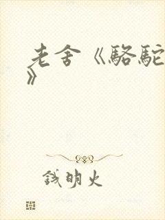 老舍《骆驼祥子》