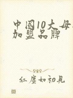 中国10大母婴加盟品牌