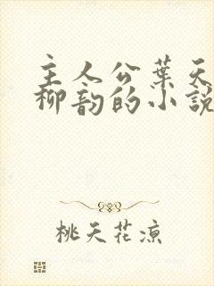 主人公叶天明和柳韵的小说名字