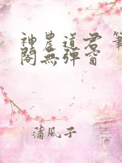 神农道君 笔趣阁无弹窗