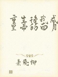 重生后我成为了皇帝的白月光