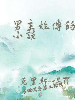 男主姓傅的全部小说