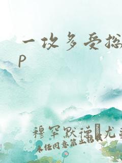一攻多受总攻np