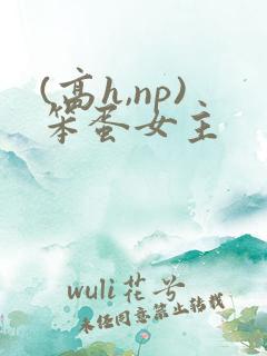 (高h,np)笨蛋女主