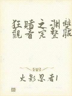 狂赌之渊双免费观看完整版在线全集