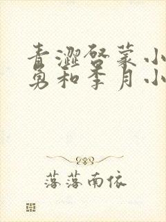 青涩启蒙小说张勇和李月小说