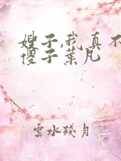 嫂子,我真不是傻子叶凡