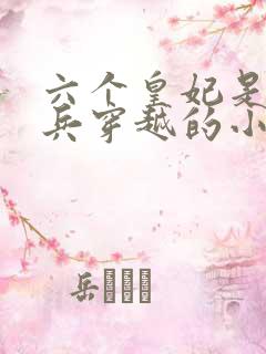 六个皇妃是特种兵穿越的小说