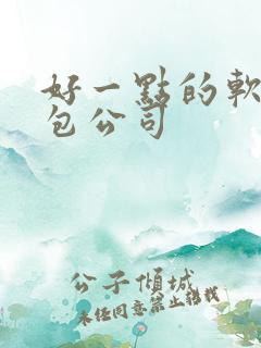 好一点的软件外包公司