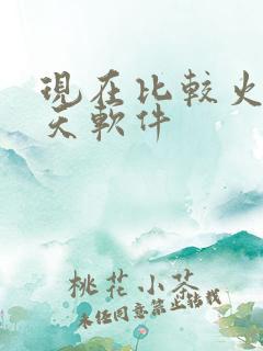 现在比较火的聊天软件