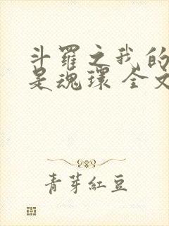 斗罗之我的武魂是魂环 全文